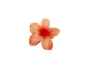 4Cm Orange