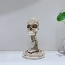 Antique Color