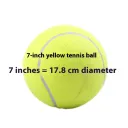 S Diameter 17.8Cm7 Inches