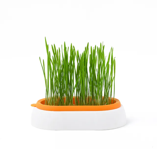 Lazy Soil free Hydroponic Planting Wheat Seed Cultivation Cat Grass Basin Default Mode - Shop at LoveMi