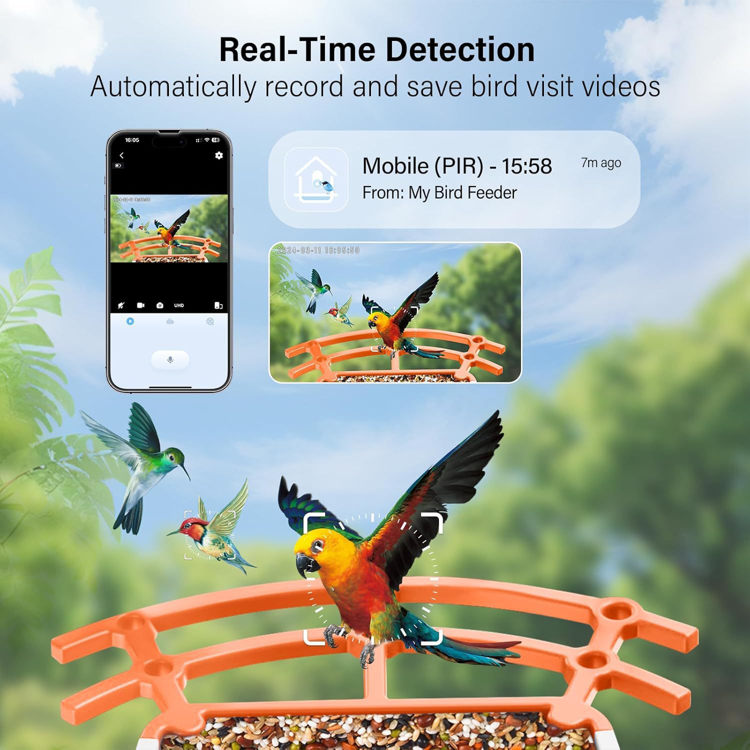 Outdoor WiFi Solar-Powered Camera Bird Feeder With App-Based Remote Monitoring 2