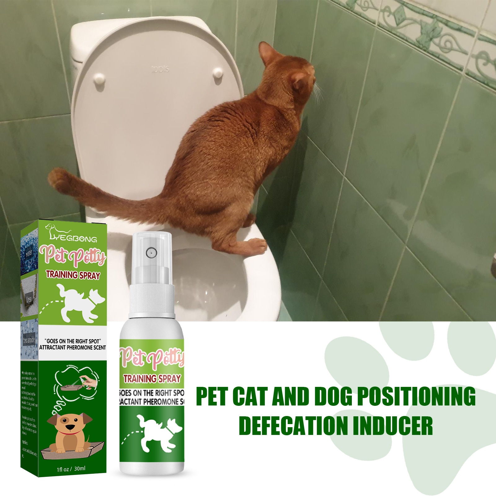 Pet Targeted Defecation Inducer Auxiliary Training Pet Urine Targeted ...