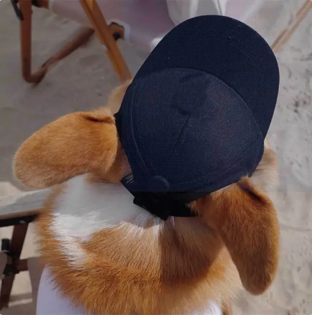 New Adjustable Sun proof Exposed Ears Pet Hat Black - Shop at LoveMi