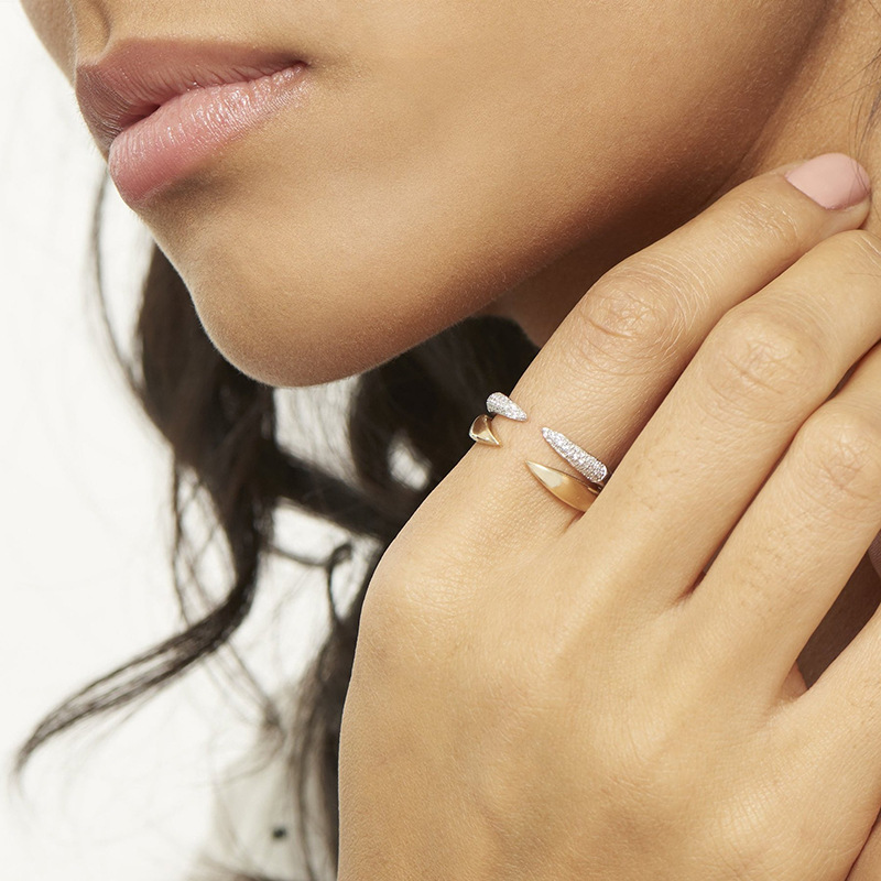 Special-interest Design Horn Open Ring Ins Cold Style