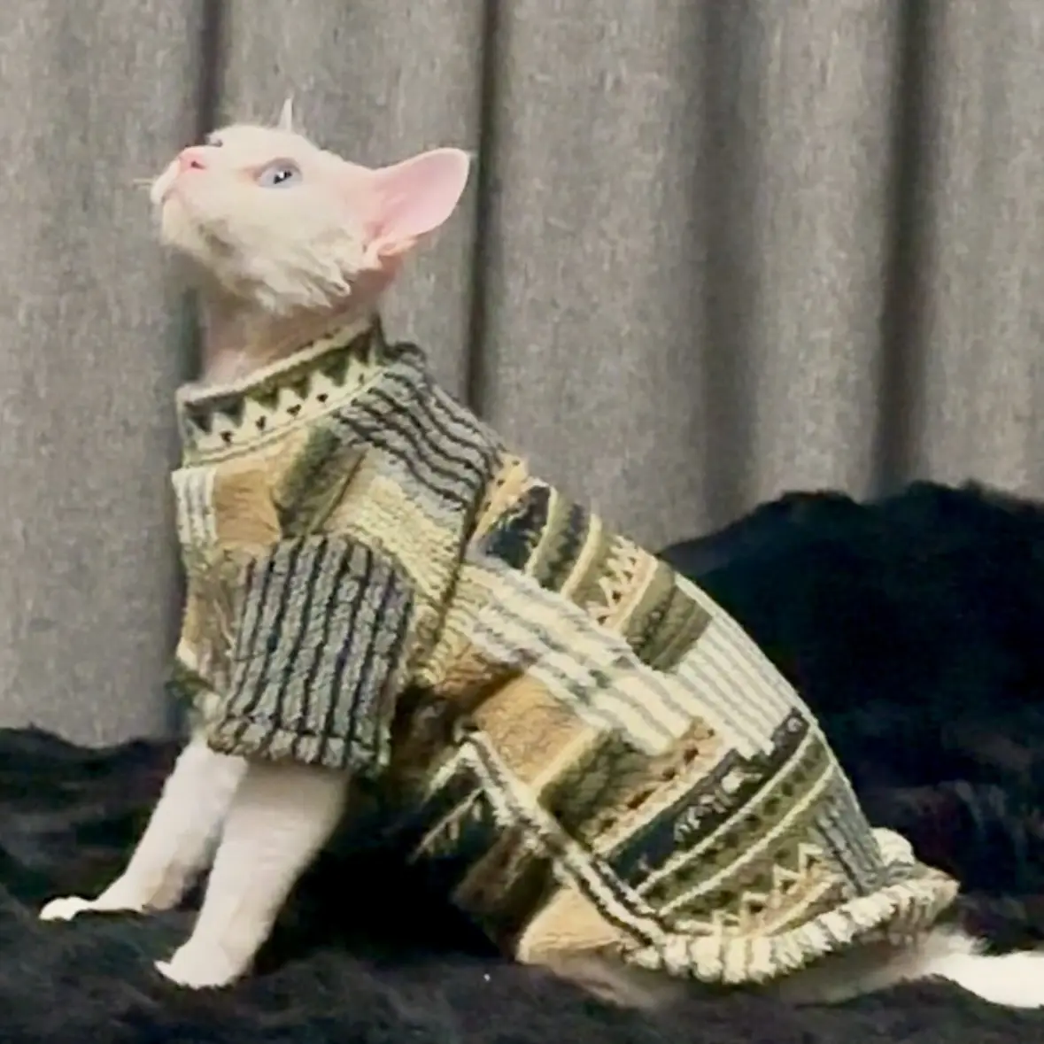 Thickened Fleece-lined Fur-free Cat Clothing