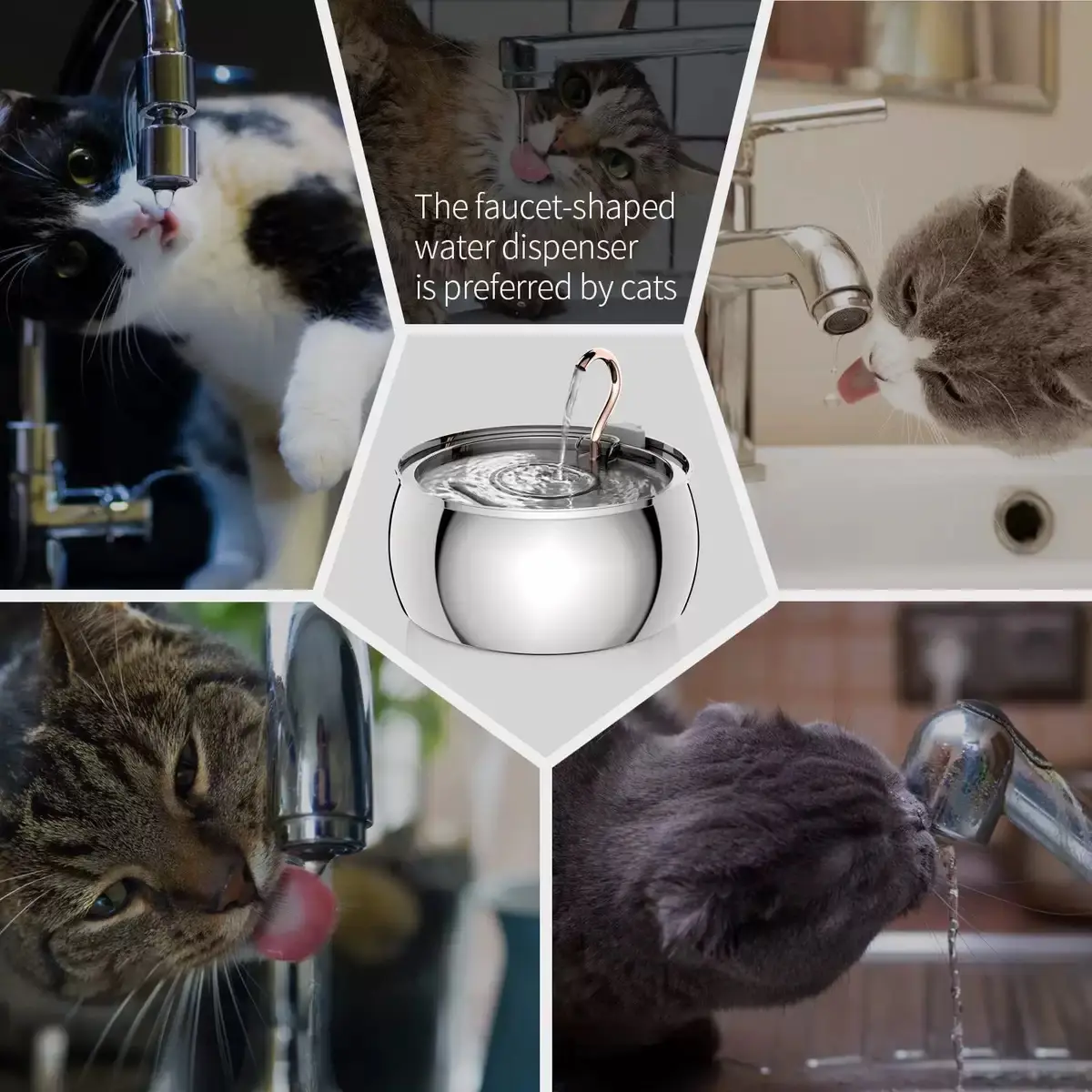 Cat Drinking From A Stainless Steel Faucet