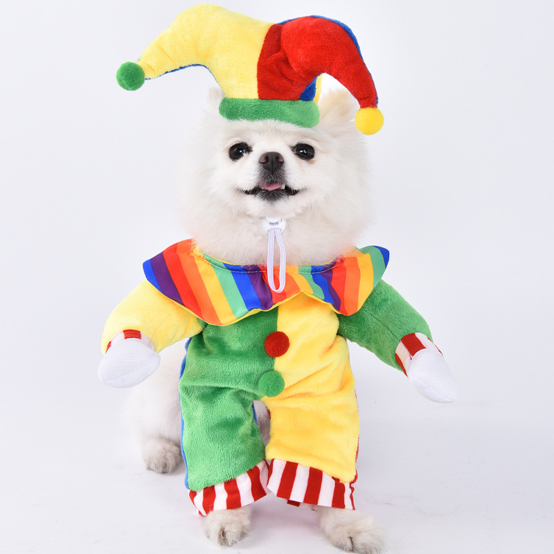 Clown Pet Costume