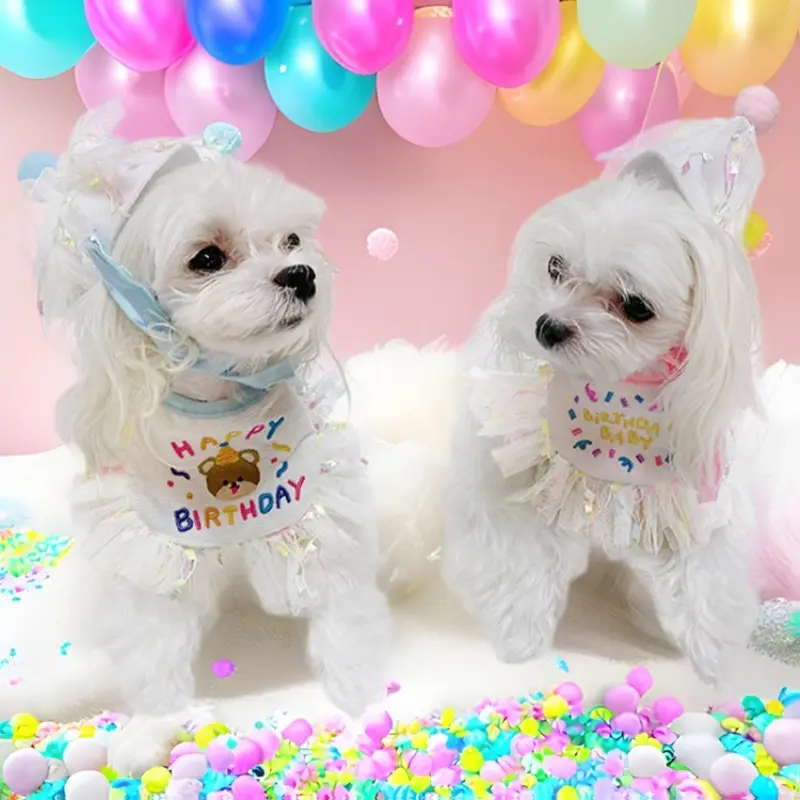 Happy Birthday Background Party Hat And Scarf