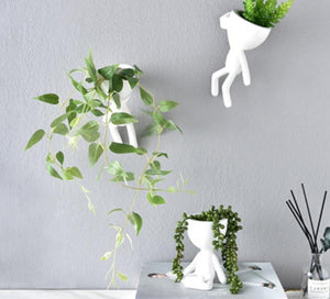 三位一体播种机