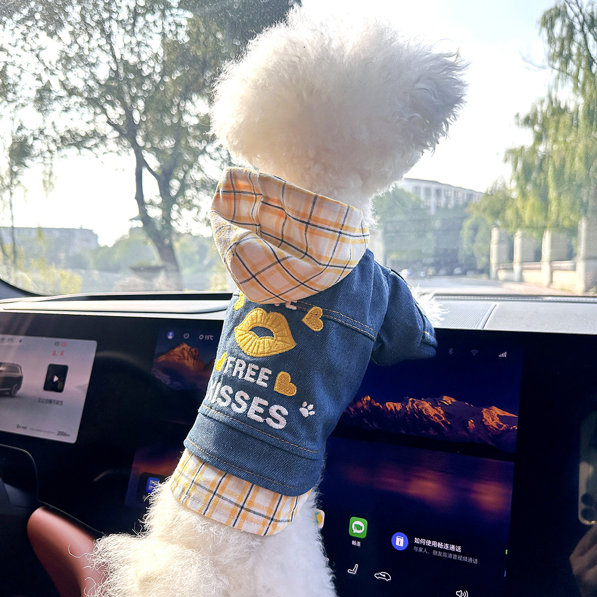 Dog And Cat Clothes Stylish Denim Outfits For Pets detail photo 16