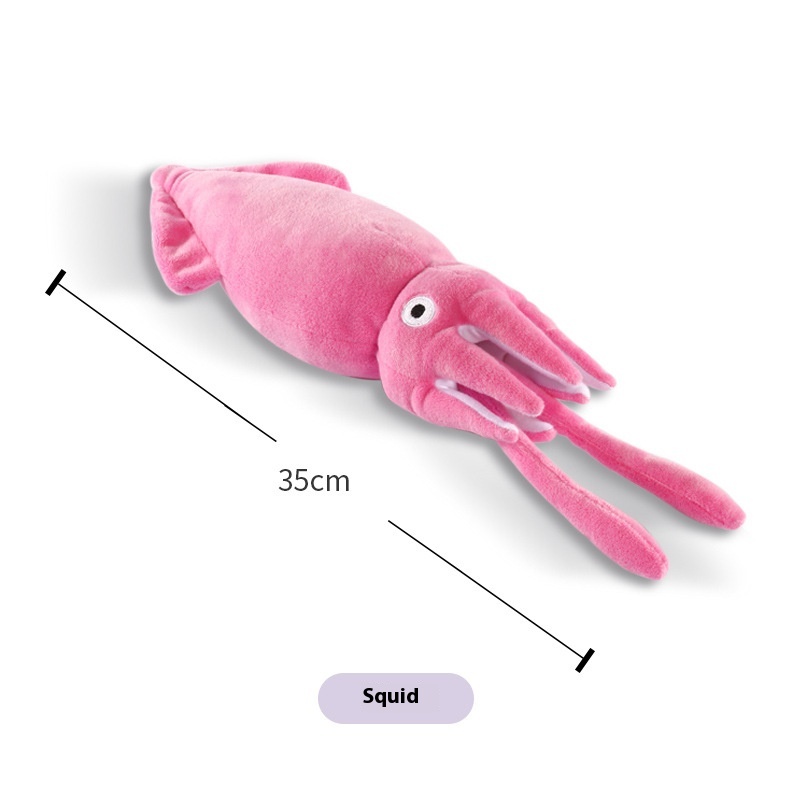 Simulation Squid