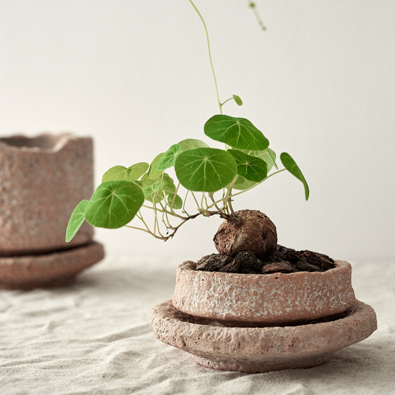 Ceramic Flowerpot, Small, picture 4 of 6