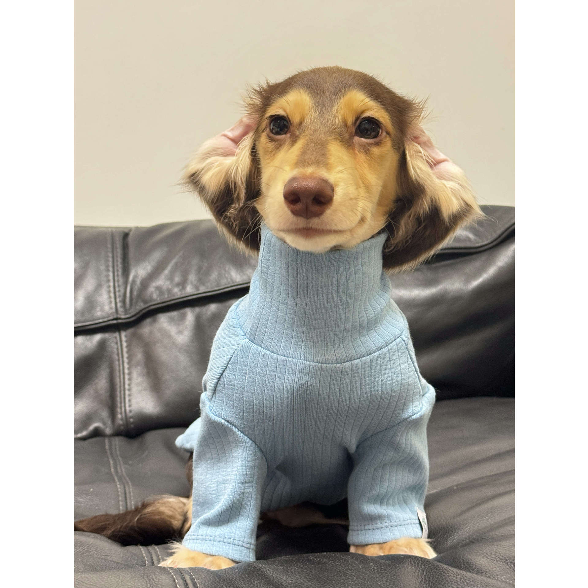 Pet Clothing Autumnwinter High-neck Base Vest