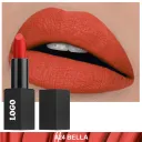 Matte Lipstick 24