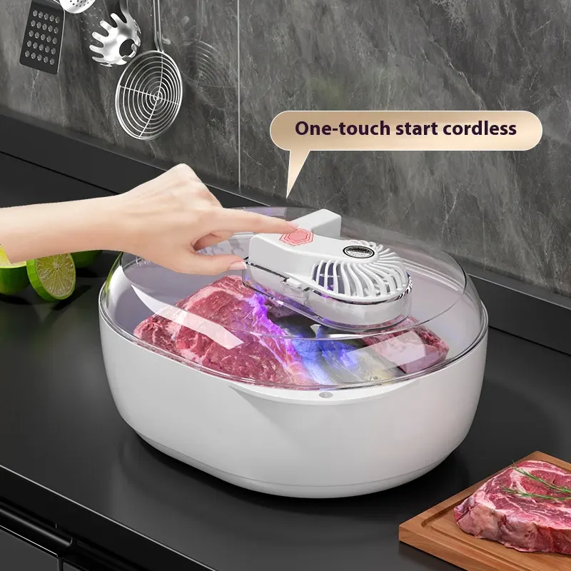 Household Quick Defrosting Plate Food Device