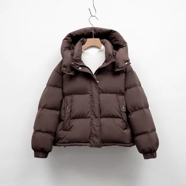 Women's Winter Korean style Simple Hooded Warm Puffer Jacket Brown - Shop at LoveMi