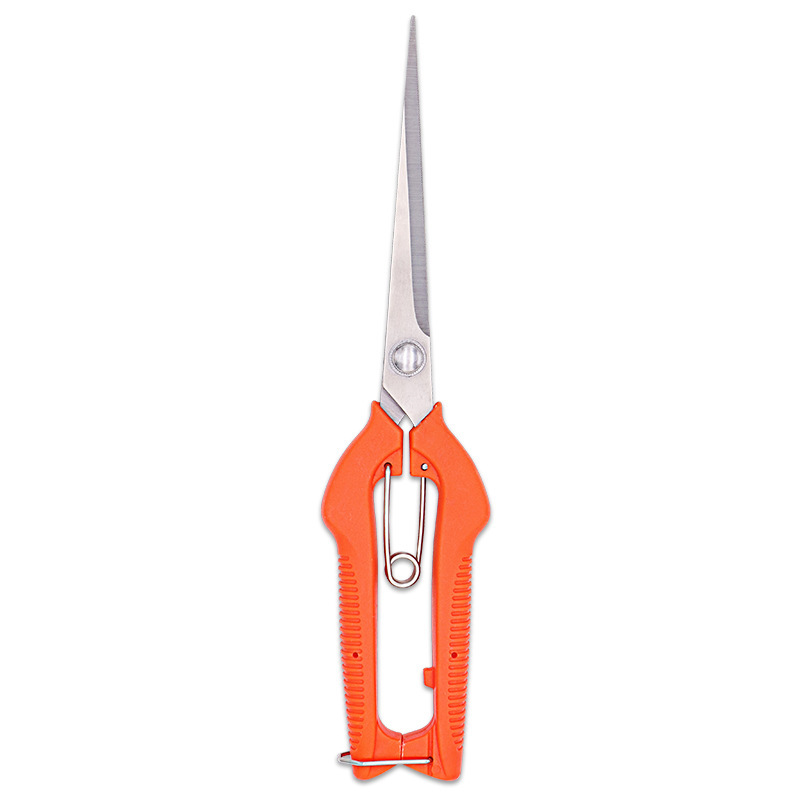 https://cf.cjdropshipping.com/quick/product/f3430638-7fcd-4ef8-a0b2-d73dff3c01ec.jpg