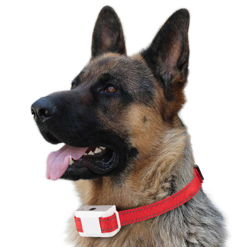 Pet Smart Dog Barking Prevention Automatic Bark Stopper Collar - Image 4