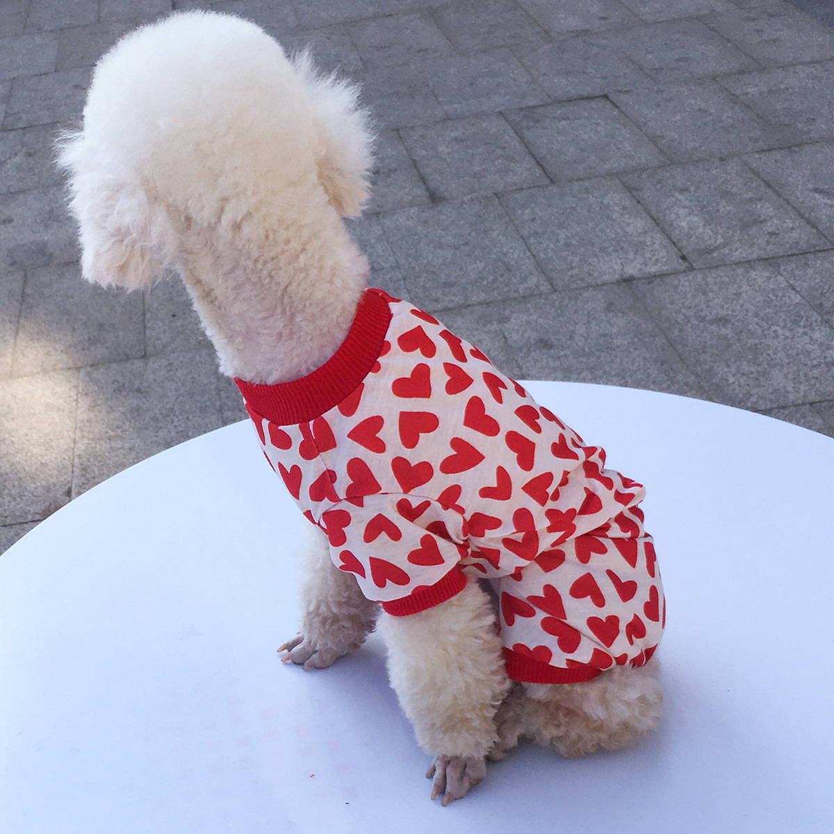 Title 9, Honden kleding voor vier poten