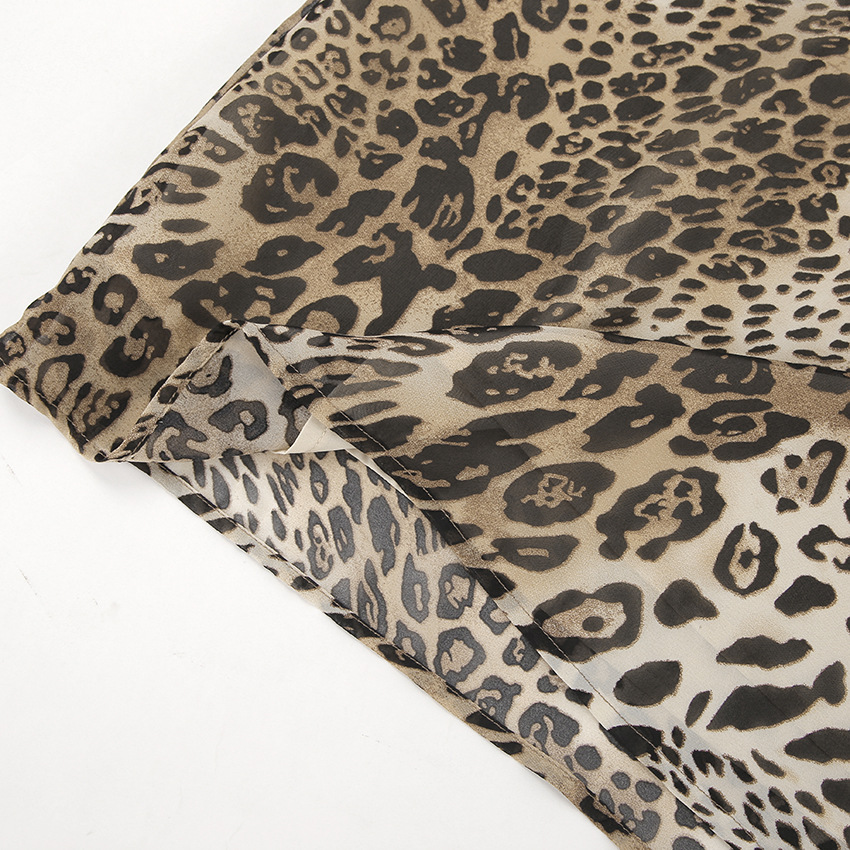 Sleeveless Deep V-neck Chiffon Leopard Print A- Line Dress 2