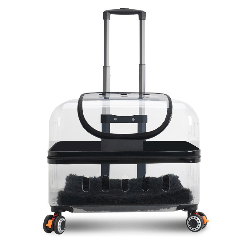 https://cf.cjdropshipping.com/quick/product/f43c2aeb-ce8f-4531-983e-577ac6a140d0.jpg