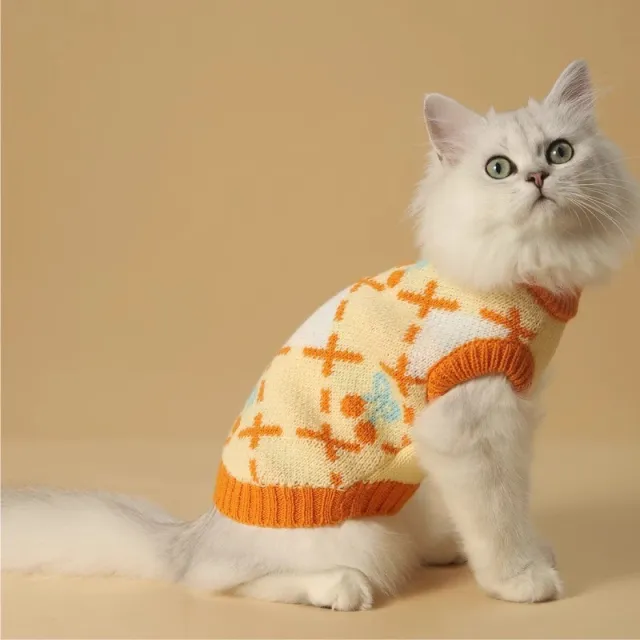 Cat Sweater Autumn winter Warm And Thickening Windproof Orange Cherry Sweater - Shop at LoveMi