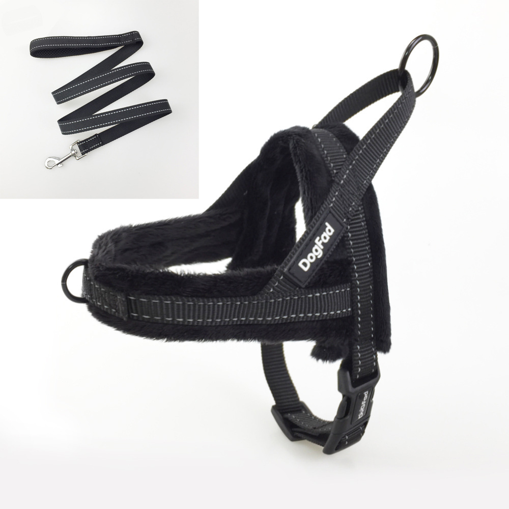 Black Chest And Back Rope