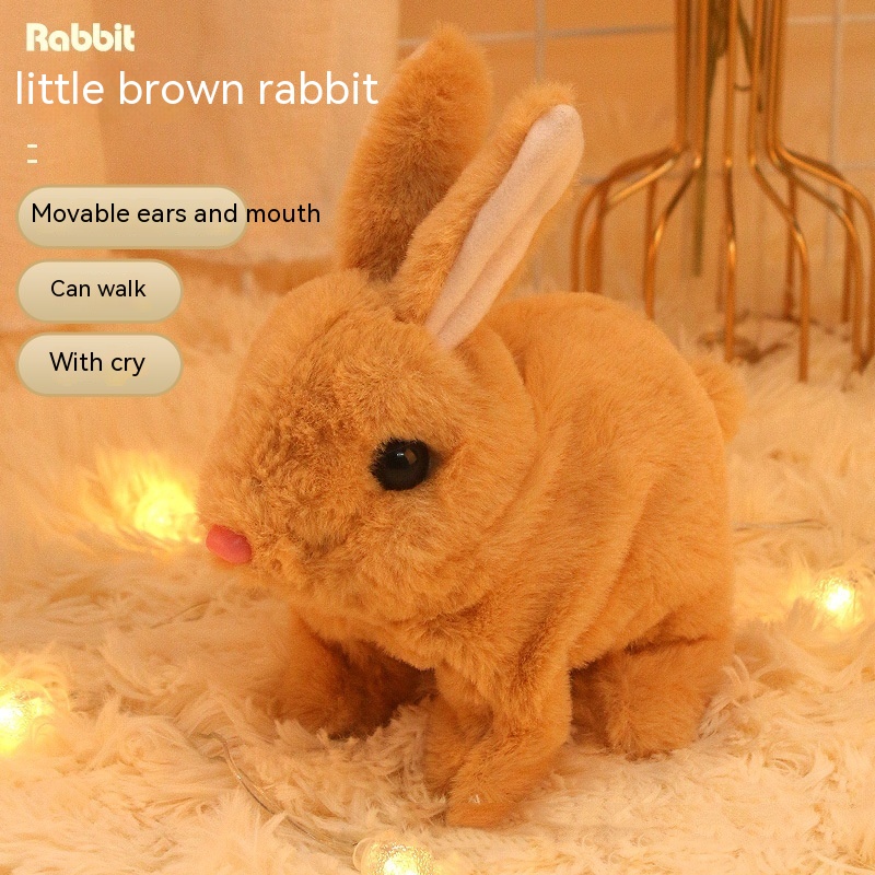 Brown Rabbit