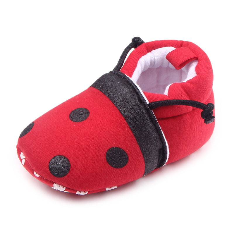 Red Ladybug