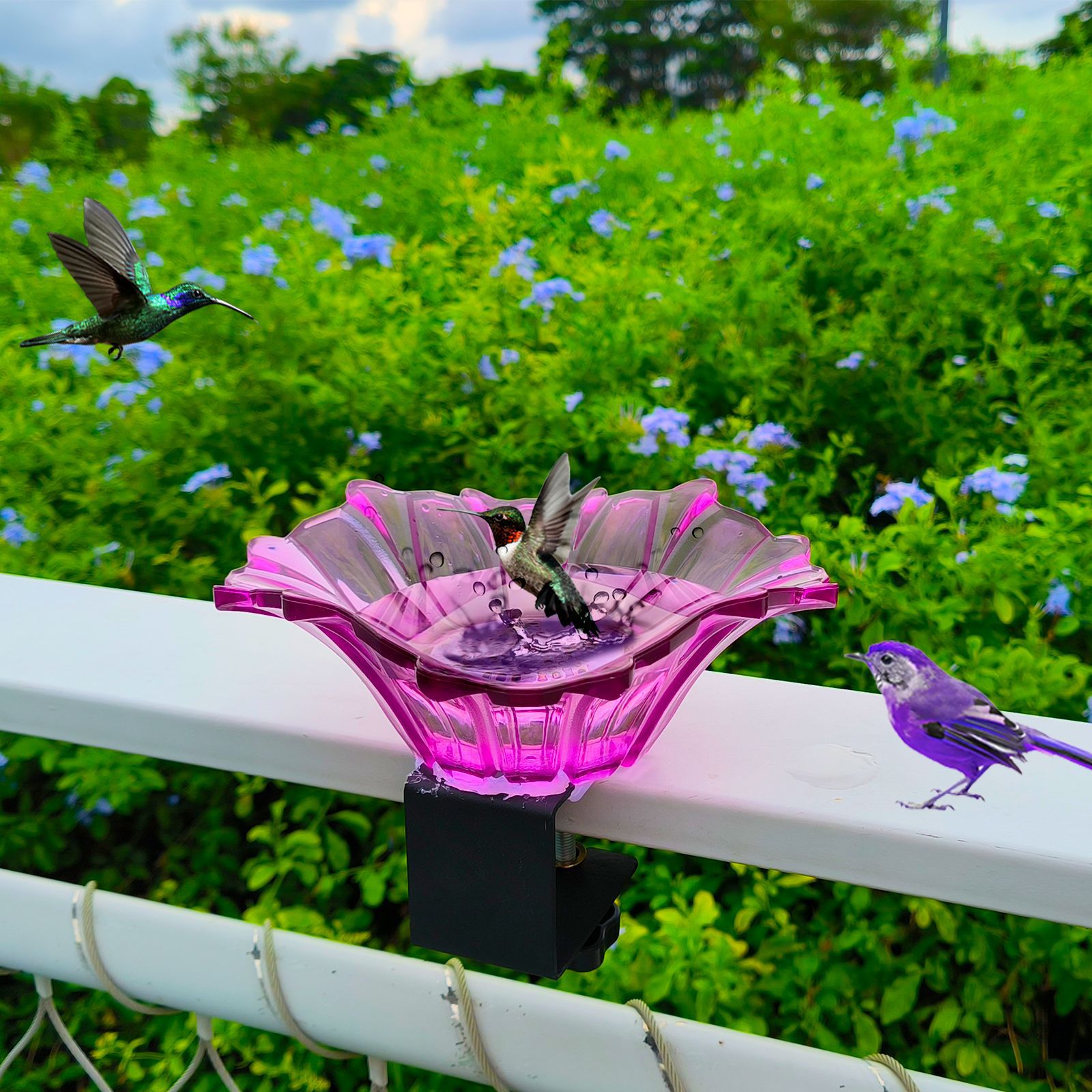 Title 11, Outdoor Garden Miniature Bird Tub Feeder