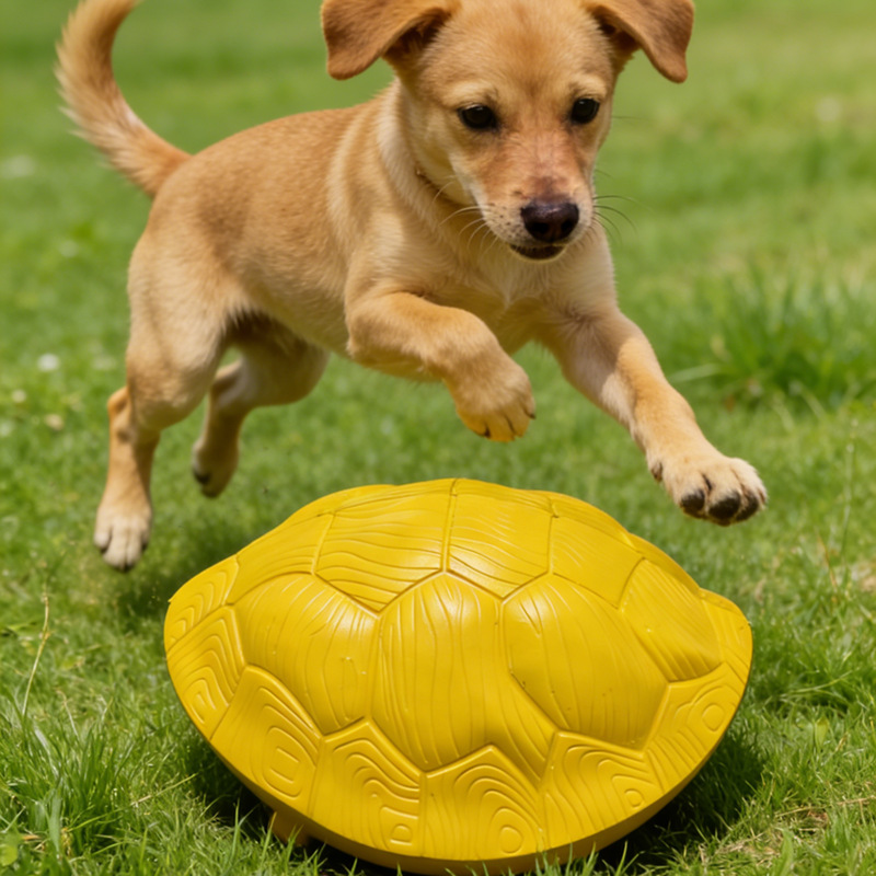 Turtle Shell Chew Toy