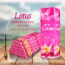 569 Lotus Big Box