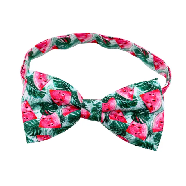 Fruit Pet Small Bow Tie Cactus Dog Cat Decorations Light Turtle Leaf Watermelon - Shop at LoveMi