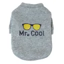 Glasses Gray