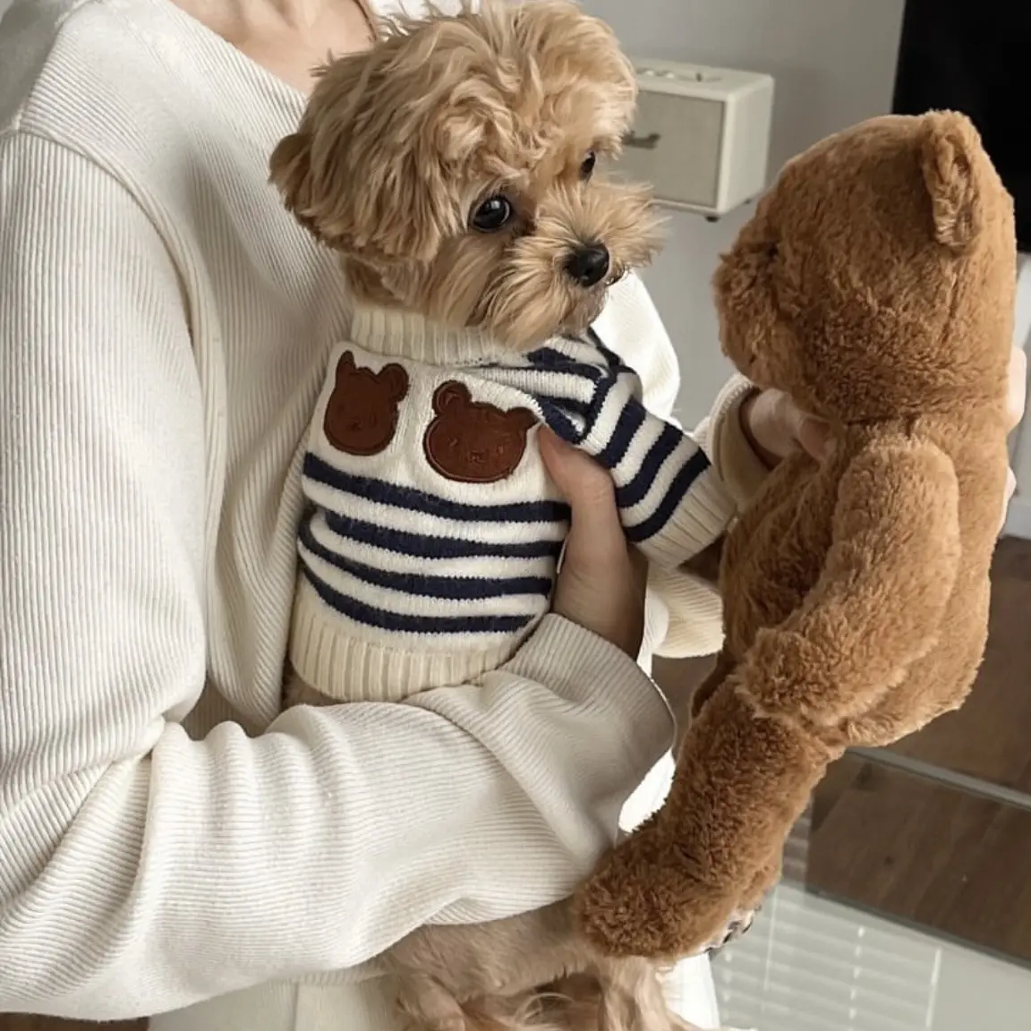Ins Korean Warm Pet Knitted Sweater Autumn