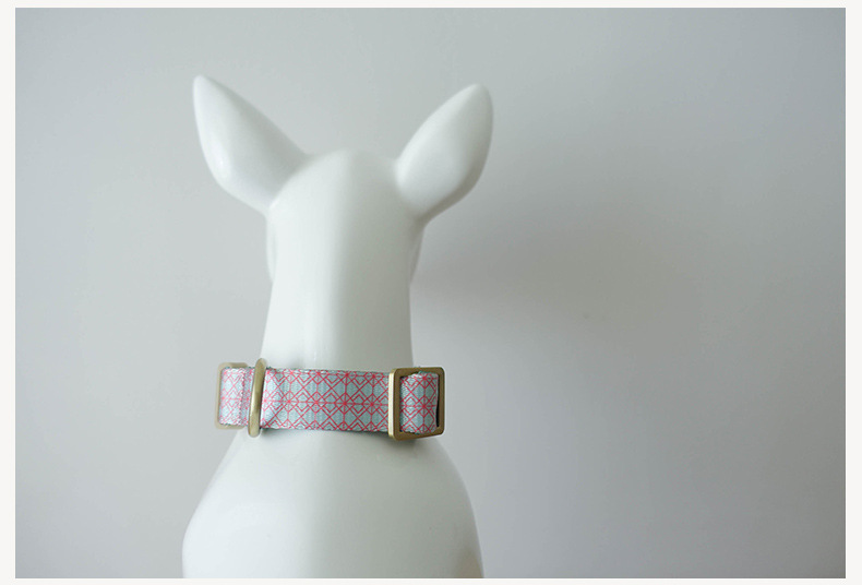 Pet Training Collar And Leash Set detail photo 7