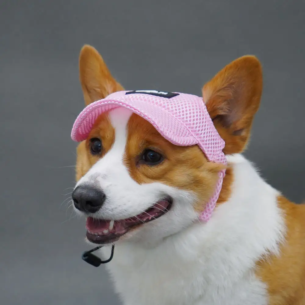 Ear Leakage Breathable Golden Retriever Dog Hat Summer Shading