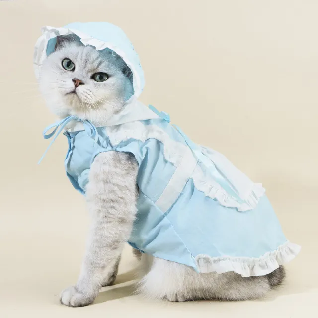 Pet Suit Pet Cat Hat Dog Spring And Summer Clothing Supplies Skirt Blue Maid Costume Hat - Shop at LoveMi