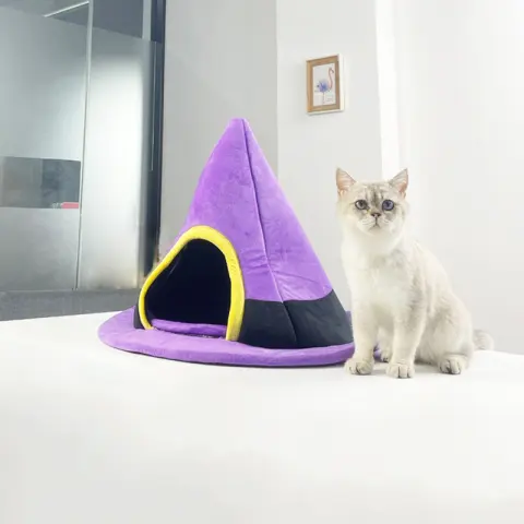 Halloween Witch Hat Cat Nest Cute Shape