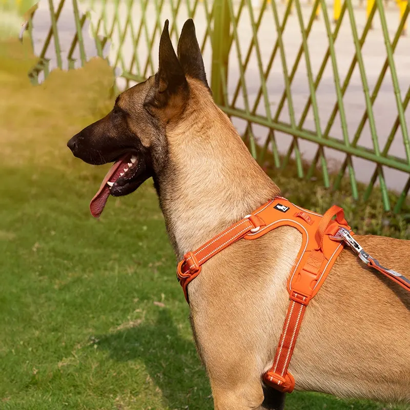 Chest Strap Camouflage Reflective Explosion-proof Dog