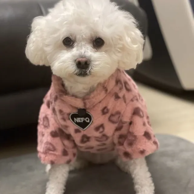 Puppy Clothes Thermal Extra Thick With Fleece Sweater Pink Leopard Print - Shop at LoveMi