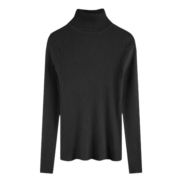 Thickening Inner Wear Skinny Versatile Long Sleeve Thermal Turtleneck Sweater For Women Black - Shop at LoveMi