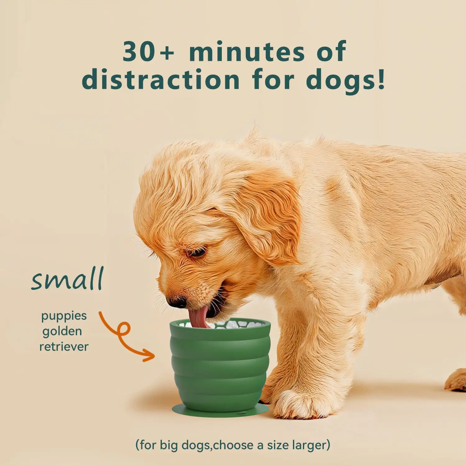 Pet Bottom Non-slip Anti-tumble Dog Bowl Hot