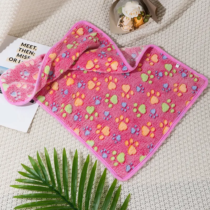 Four Seasons Blanket Thermal Coral Fleece Paw