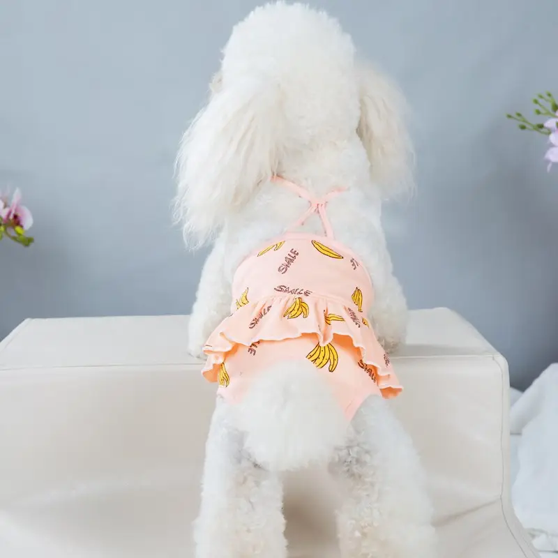 Bull Anti-harassment Estrous Underwear Washable Female Dog