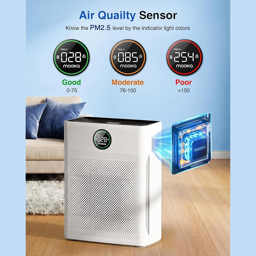 https://cf.cjdropshipping.com/quick/product/fa4159c0-2348-4ffc-a15e-342aea599d91.jpg
