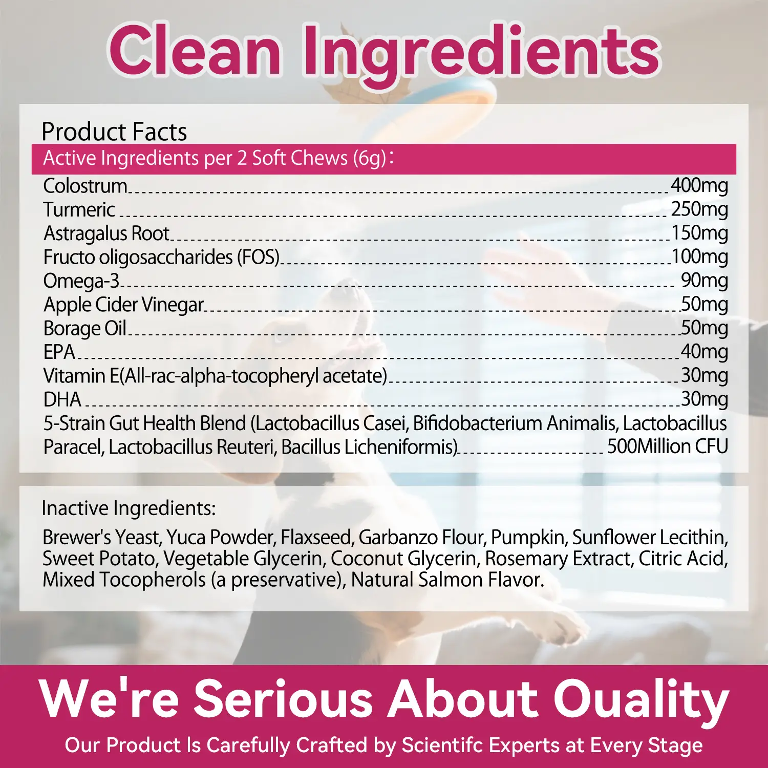 Pet Anti-allergy Chewable Tablet