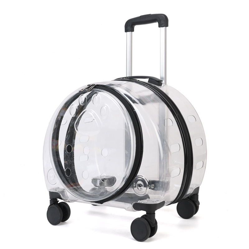 https://cf.cjdropshipping.com/quick/product/fb02b826-a579-4f7f-8354-70bd472a9f04.jpg