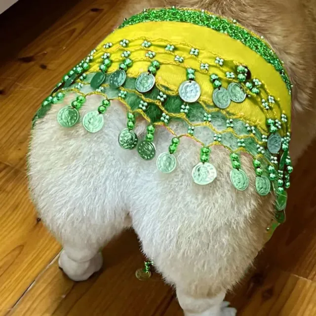 Belly Dance Fart Chain Sequined Waist Chain Enthusiastic Dog Fart Hip Scarf Yellow - Shop at LoveMi