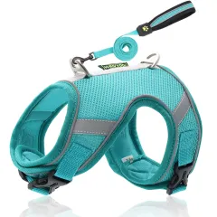 Pet Hand Holding Rope Mesh Dog Breast Strap Adjustable Reflective Dog Rope Pet Supplies - Lake Blue - View 1